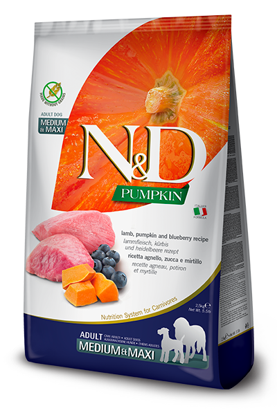 N&D Pumpkin Lamb & Blueberry Adult Medium & Maxi 12kg